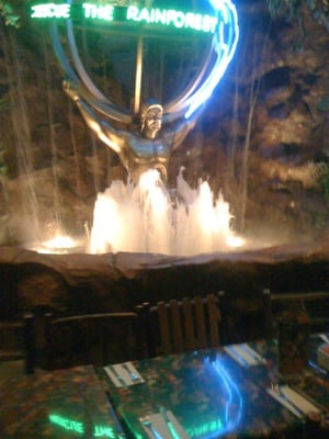 Rainforest Cafe by null