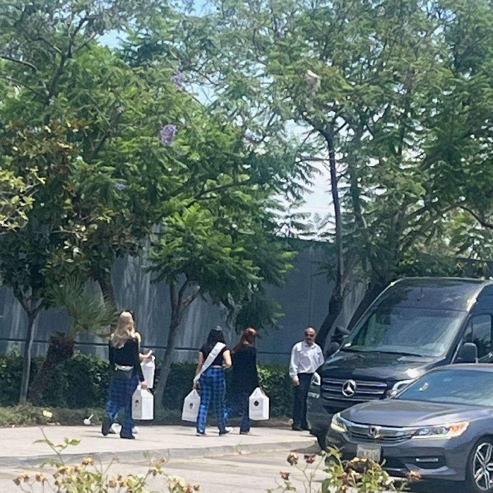 Girls getting back into van after their shopping spree at the mall.