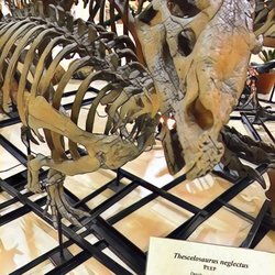 Everything Prehistoric