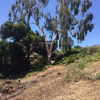 Emma Tree Service - Tree Services Near Me Emma Tree Service - Tree Services Near Me