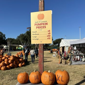 Old Time Christmas Tree Farm - Pumpkin prices 2024 - Christmas Trees Near Me - Spring, Texas