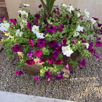 Alvadora Spa - Day Spas Near Me - Phoenix, Arizona