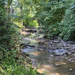 Shadycreek Nursery & Garden