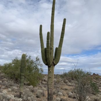 Sunrise Trailhead - Hiking Near Me - Scottsdale, Arizona