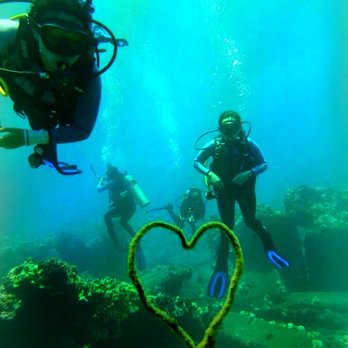 NeverDry Divers - Pictures are took by Michael from Neverdry - Scuba Diving Near Me - Kihei, Hawaii