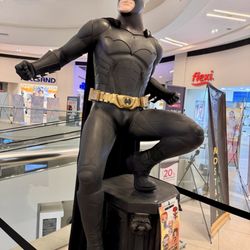 Multiplaza Arboledas - Bruce Wayne