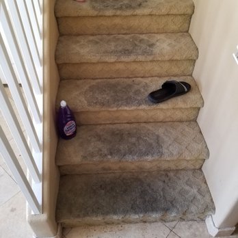 Western Carpet Care - Before - Carpet Cleaning Near Me - Santa Ana, California Western Carpet Care - Before - Carpet Cleaning Near Me - Santa Ana, California