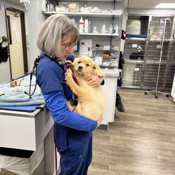 VCA Brighton Animal Hospital - Veterinarians Near Me - Brighton, Michigan VCA Brighton Animal Hospital - Veterinarians Near Me - Brighton, Michigan