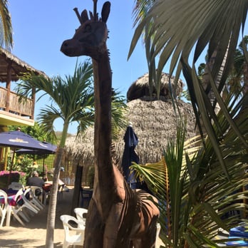 Buzzards Bar & Grill - Friendly giraffe hidden amongst the palm trees - Mexican Near Me - San José del Cabo, BCS Buzzards Bar & Grill - Friendly giraffe hidden amongst the palm trees - Mexican Near Me - San José del Cabo, BCS
