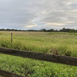 Fort Fraser Trail
