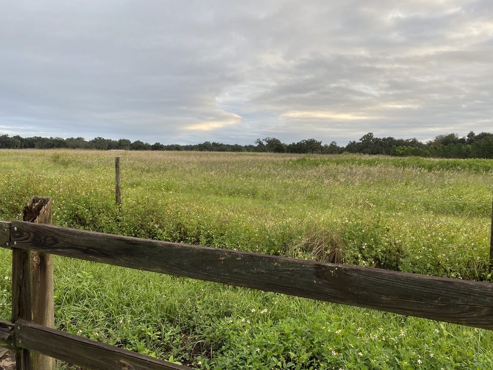 FORT FRASER TRAIL 3625 Winter Lake Rd, Lakeland, FL Yelp
