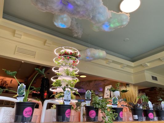 Queer Plants Cafe by null