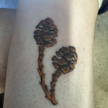 Sideshow Tattoo and Piercing - Redwood seeds - Tattoo Near Me - San Diego, California Sideshow Tattoo and Piercing - Redwood seeds - Tattoo Near Me - San Diego, California