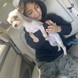 When I pick him up from his appointment at barks and bubbles When I pick him up from his appointment at barks and bubbles