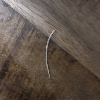 McWethy's Tavern - A bone that was in my Ale Battered Fish and Chips - American Near Me - Romeoville, Illinois McWethy's Tavern - A bone that was in my Ale Battered Fish and Chips - American Near Me - Romeoville, Illinois