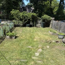 C&C Lawn Care,Moving & Trash Removal