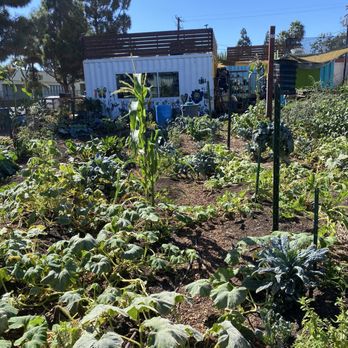 La Milpa Cafe - A food forest! - Cafes Near Me - Santa Ana, California La Milpa Cafe - A food forest! - Cafes Near Me - Santa Ana, California