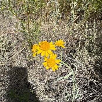 Guadalupe Mountains National Park - Parks Near Me - Salt Flat, Texas