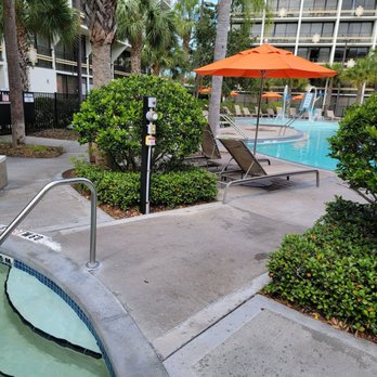 27 Palms - From the adult hot tub - American Near Me - Orlando, Florida 27 Palms - From the adult hot tub - American Near Me - Orlando, Florida