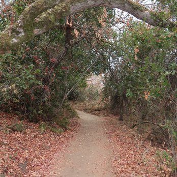 Alum Rock Park - Parks Near Me - San Jose, California