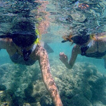 Pure Aloha Adventures - Tours Near Me - Honolulu, Hawaii