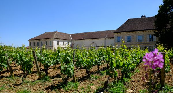 Château de Chassagne-Montrachet by null