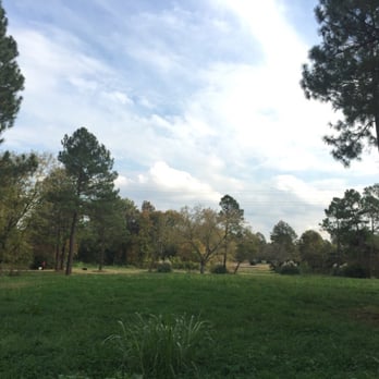 Chantilly Park - This area is fair game for dogs until it officially becomes part of the Charlotte Greenway System as planned. - Parks Near Me - Charlotte, North Carolina