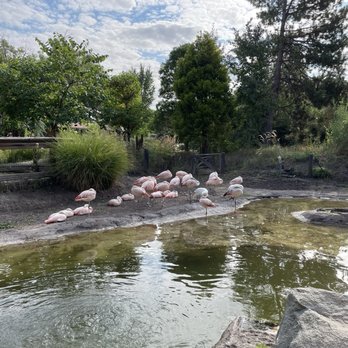 Tracy Aviary - Zoos Near Me - Salt Lake City, Utah Tracy Aviary - Zoos Near Me - Salt Lake City, Utah