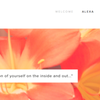 Alexa Marie Skincare gift card