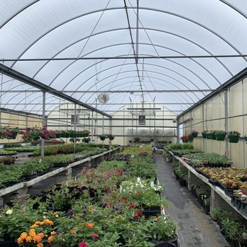 Rightway Garden Center - Around the nursery - Landscaping Near Me - Burlington, Kentucky