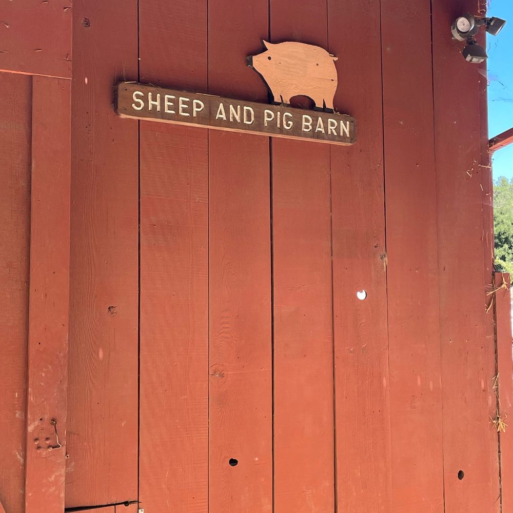 Deer Hollow Farm - Sheep and pig barn - Kids Activities Near Me - Cupertino, California