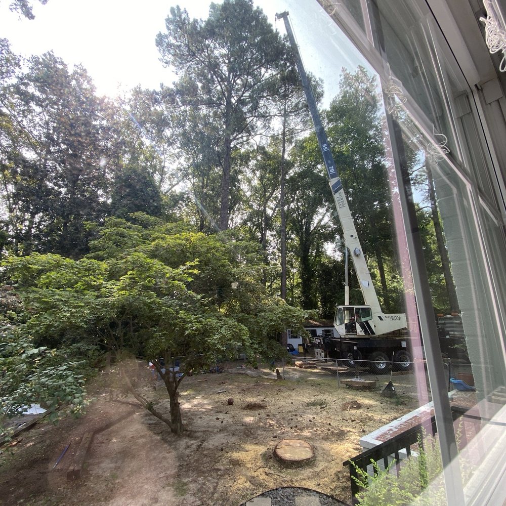 Express Tree Service - Tree Services Near Me Express Tree Service - Tree Services Near Me