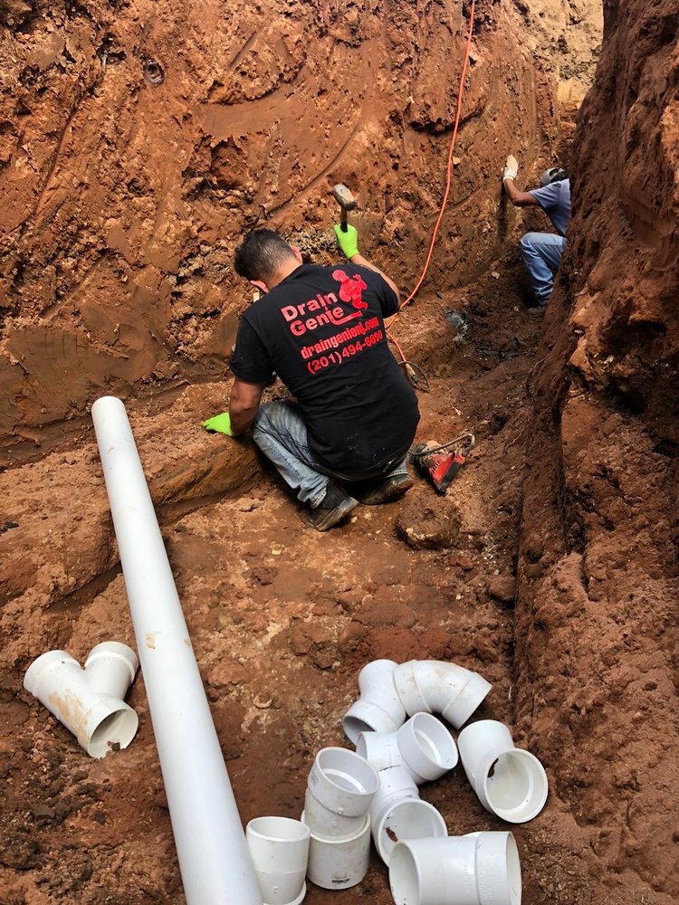 Slide of Drain Genie