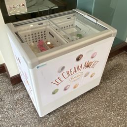 Frozen Mochi cooler