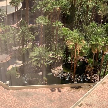 Flamingo Las Vegas - View down to the Pools and Flamingo habitat - Hotels Near Me - Las Vegas, Nevada