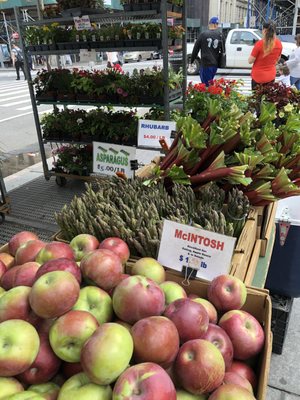 City Hall Park Greenmarket by null