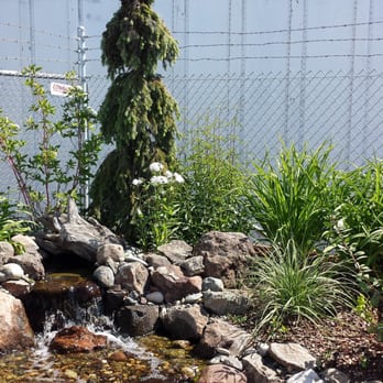 Sonoma Sweepers - Pond finished! - Landscaping Near Me - Ukiah, California Sonoma Sweepers - Pond finished! - Landscaping Near Me - Ukiah, California