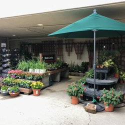 DIY Home Center Agoura Hills - Beauty all around me....my garden is my happy place