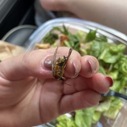Wendy's - Chicken Apple Pecan Salad