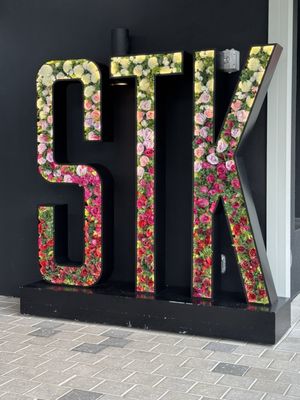 STK Aventura by null