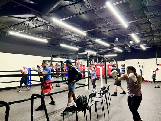 Brave Boxing Club by null