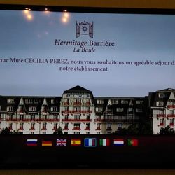 Hotel Hermitage - TV in the room greets you