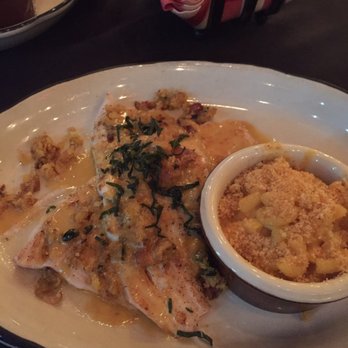 Moonshine Grill - Seared trout with cornbread stuffing and mac and cheese with bacon on the side! - Southern Near Me - Austin, Texas Moonshine Grill - Seared trout with cornbread stuffing and mac and cheese with bacon on the side! - Southern Near Me - Austin, Texas