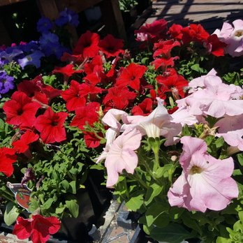 Evergreen Nursery - Nurseries & Gardening Near Me - San Leandro, California Evergreen Nursery - Nurseries & Gardening Near Me - San Leandro, California