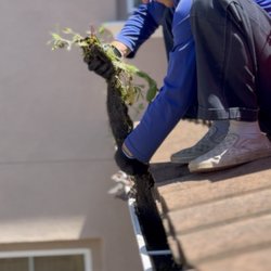 Advanced Solar Cleaning - Gutter Cleaning - Organic growth inside the gutter.