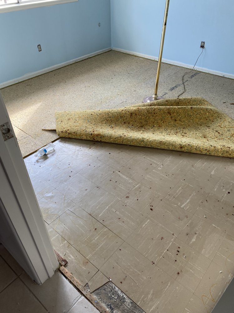 GE Environmental services - mold inspector in Temecula, CA