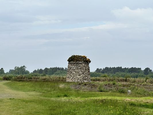 Culloden Battlefield (National Trust for Scotland) by null