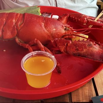 Claws - One large lobster/ slaw, corn on the cob, blueberry cornbread - Seafood Near Me - Rockland, Maine Claws - One large lobster/ slaw, corn on the cob, blueberry cornbread - Seafood Near Me - Rockland, Maine