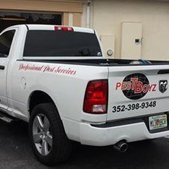 Pestboyz - Professional Pest Services - Pest Control Near Me - Spring Hill, Florida Pestboyz - Professional Pest Services - Pest Control Near Me - Spring Hill, Florida