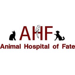 Animal Hospital of Fate - Animal Hospital Of Fate